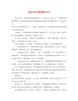 竞选中队长演讲稿500字 