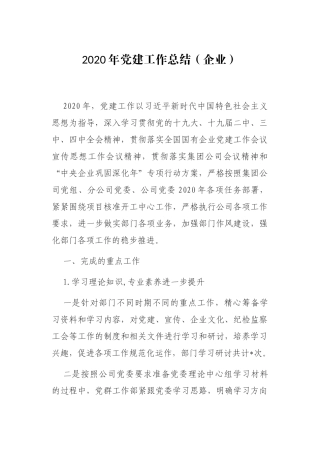 2020年党建工作总结（企业版）