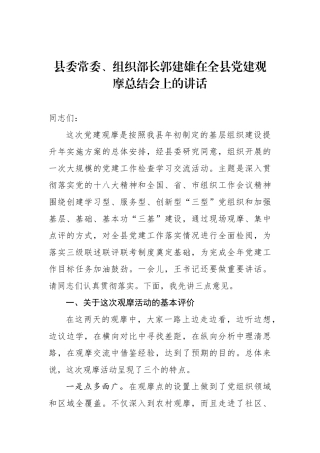 郭建雄：在全县党建观摩总结会上的讲话_转换