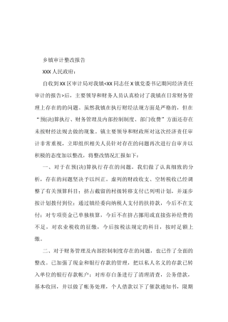 乡镇审计整改报告