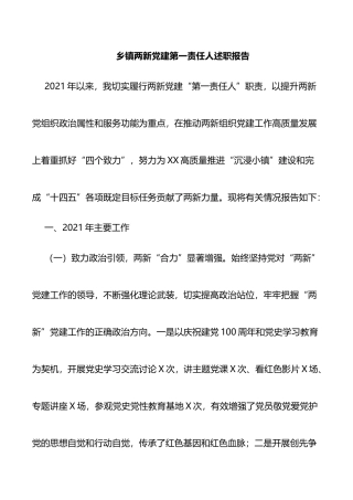 乡镇两新党建第一责任人述职报告