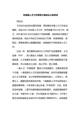 在2022年县委人才工作领导小组会议上的讲话