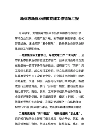 新业态新就业群体党建工作情况汇报