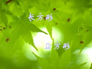 长方形和正方形