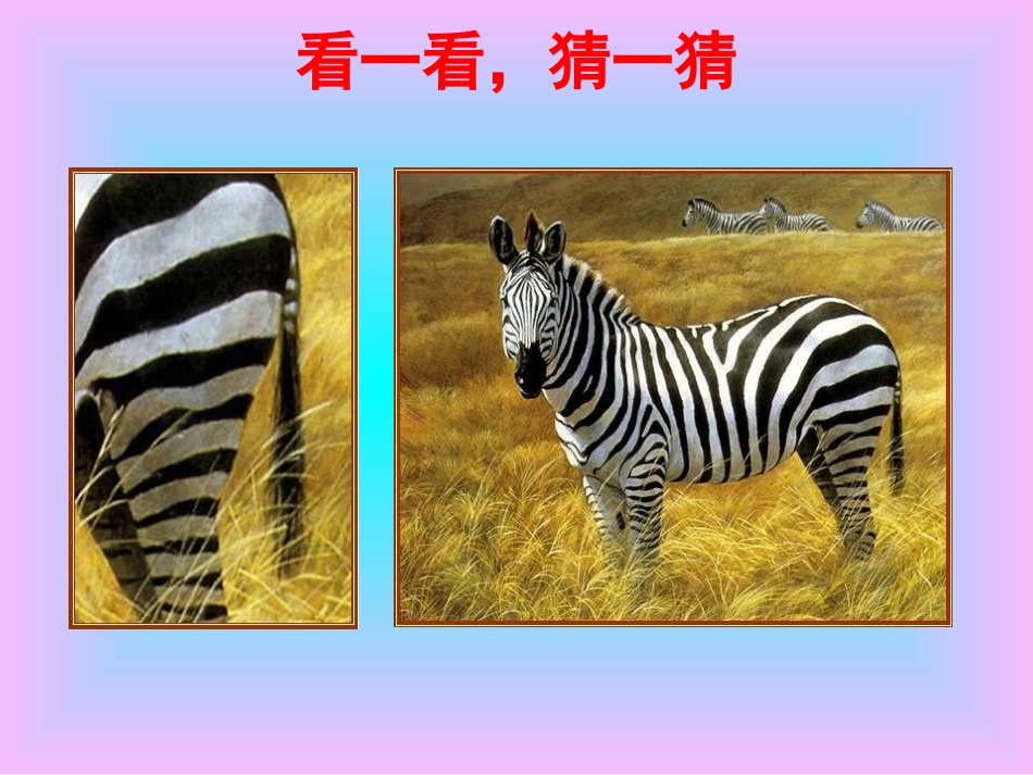 观察物体 (5)_第3页