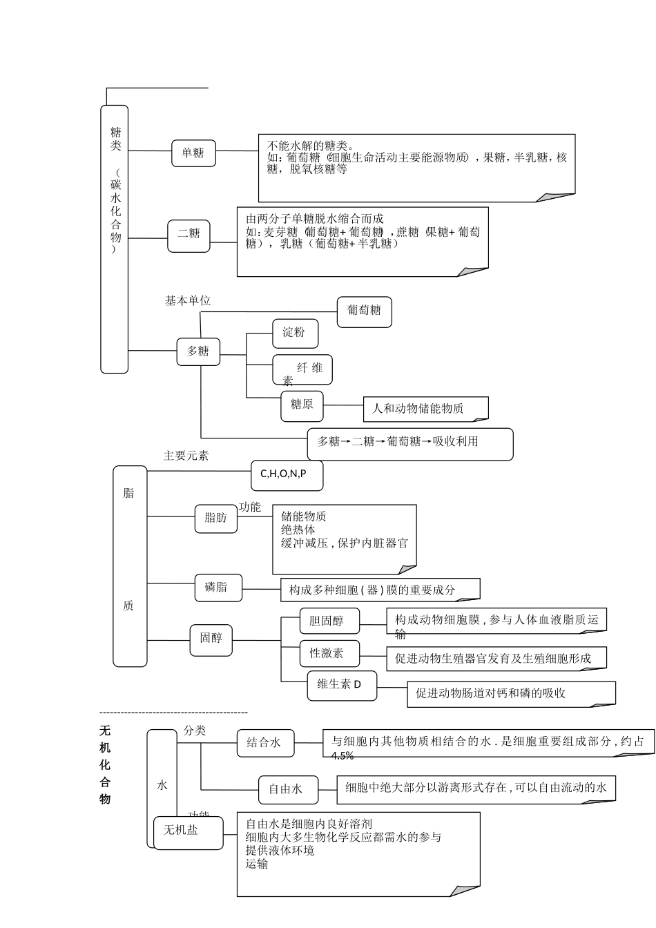 生物概念图副_第3页
