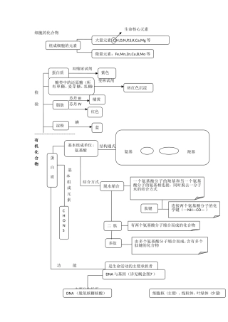 生物概念图副