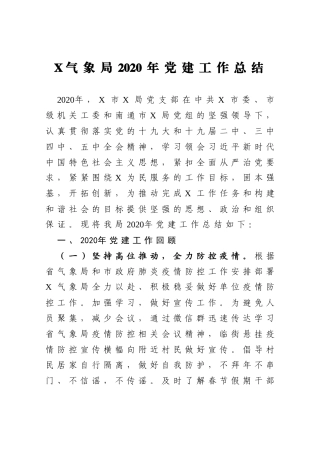 XX局2020年党建工作总结