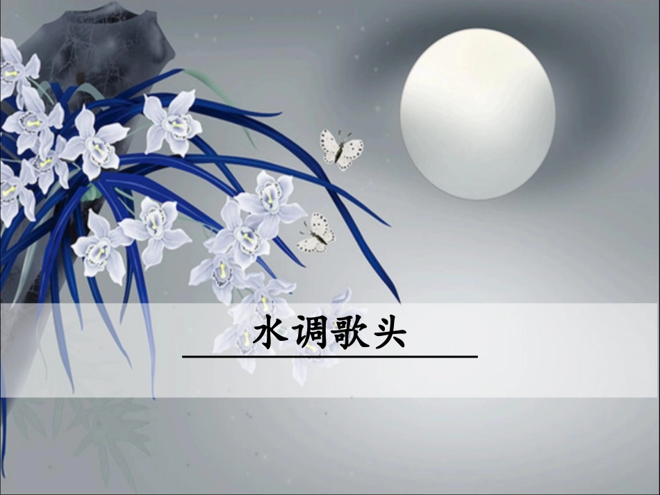 水调歌头 (2)_第1页