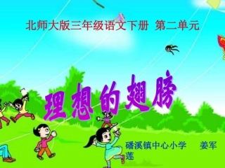 理想的翅膀课件