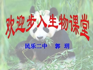 人体废物的排出
