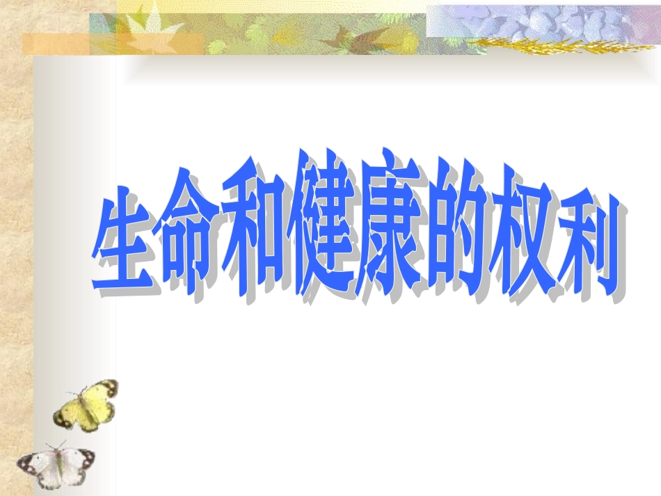 生命与健康权利_第2页