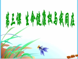 生命与健康权利