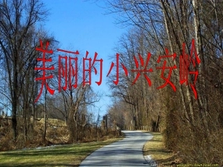 课件小兴安岭