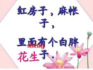 小松鼠找花生