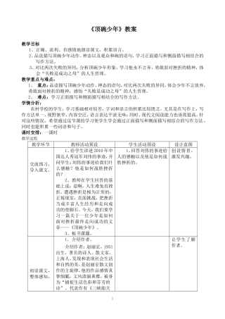 顶碗少年教案