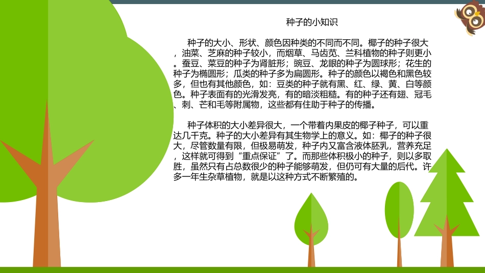 种子藏在哪里_第2页