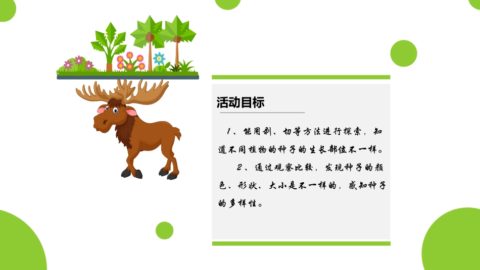 种子藏在哪里_第3页