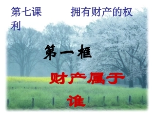 拥有财产的权利