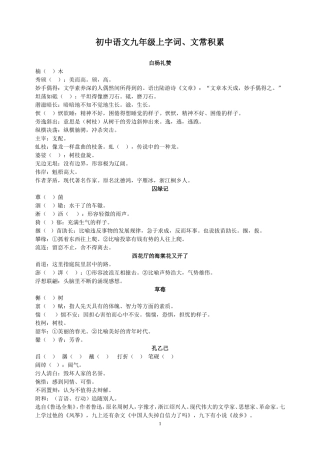 语文九年级字词