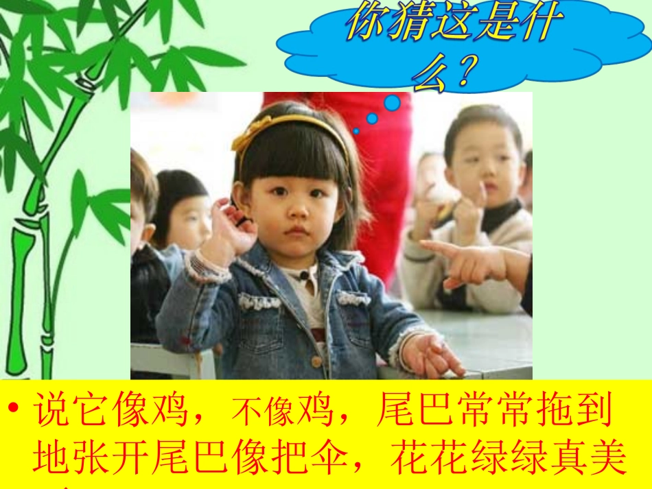 金孔雀轻轻地跳_第1页