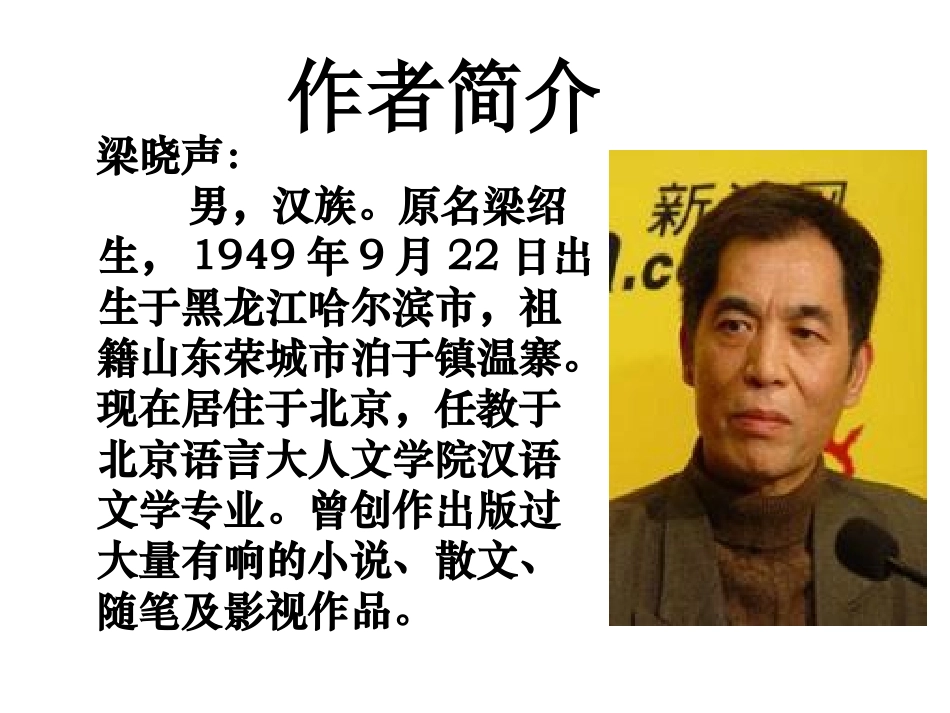 第一支笔 (2)_第2页