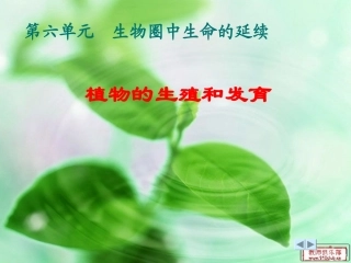 植物的生殖课件