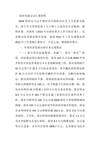 政府务虚会议汇报材料