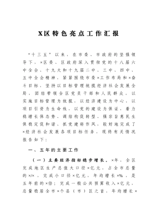 X区特色亮点工作汇报