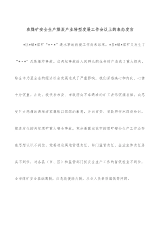 在煤矿安全生产煤炭产业转型发展工作会议上的表态发言