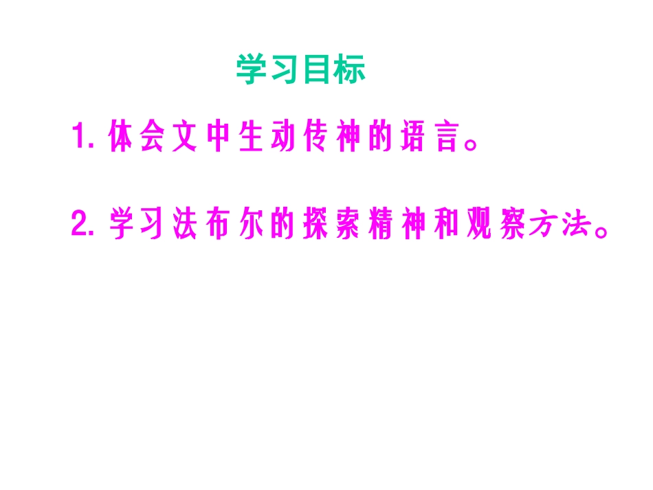 绿色蝈蝈 (3)_第2页