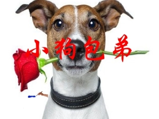 小狗包弟课件