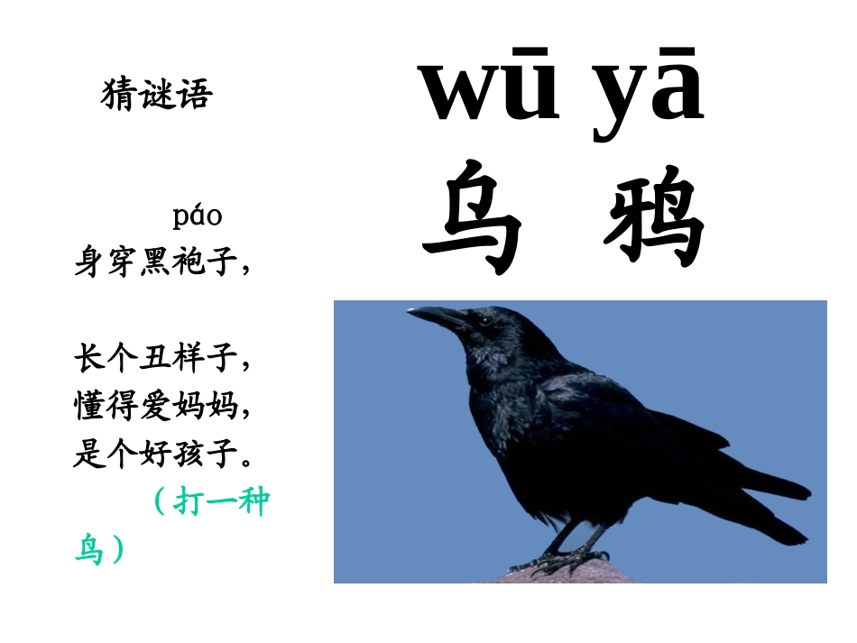 视导乌鸦喝水_第1页