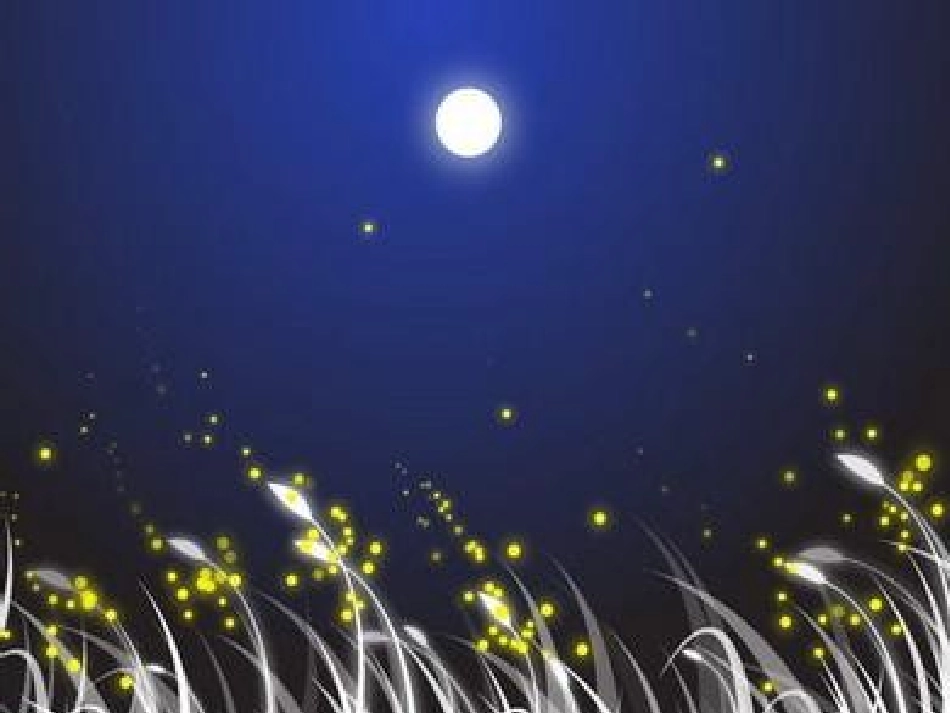 月光启蒙 (2)_第2页