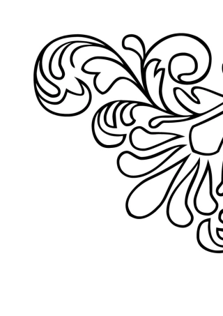 我摘录，我最棒