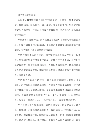 班子整体政治画像