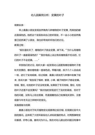 幼儿园案例分析