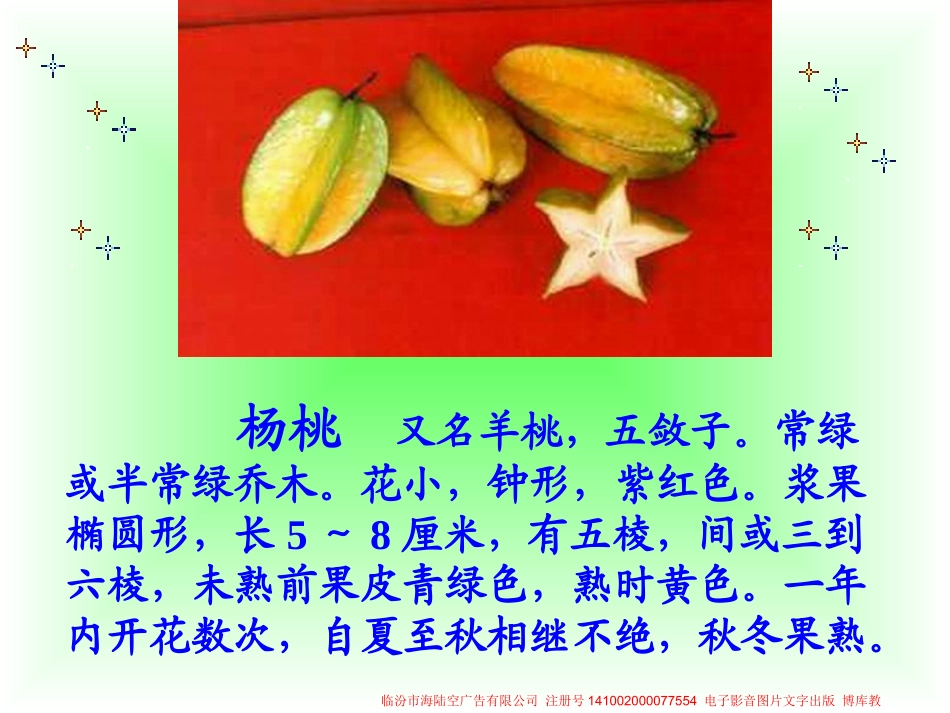 画杨桃课件4_第2页