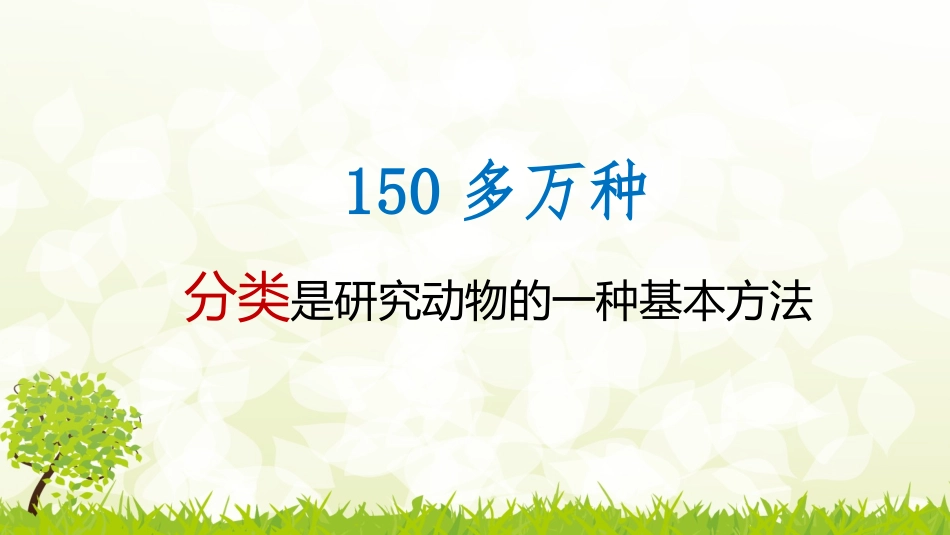 种类繁多的动物_第2页