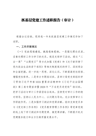 抓基层党建工作述职报告（审计）