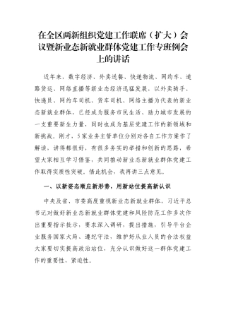在全区两新组织党建工作联席（扩大）会议暨新业态新就业群体党建工作专班例会上的讲话