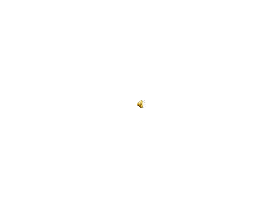 花花绿绿的贝壳_第1页