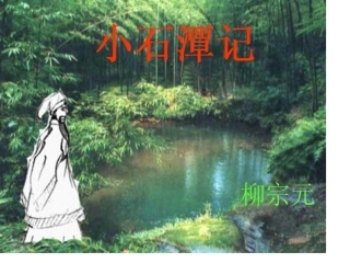 小石潭记 (8)