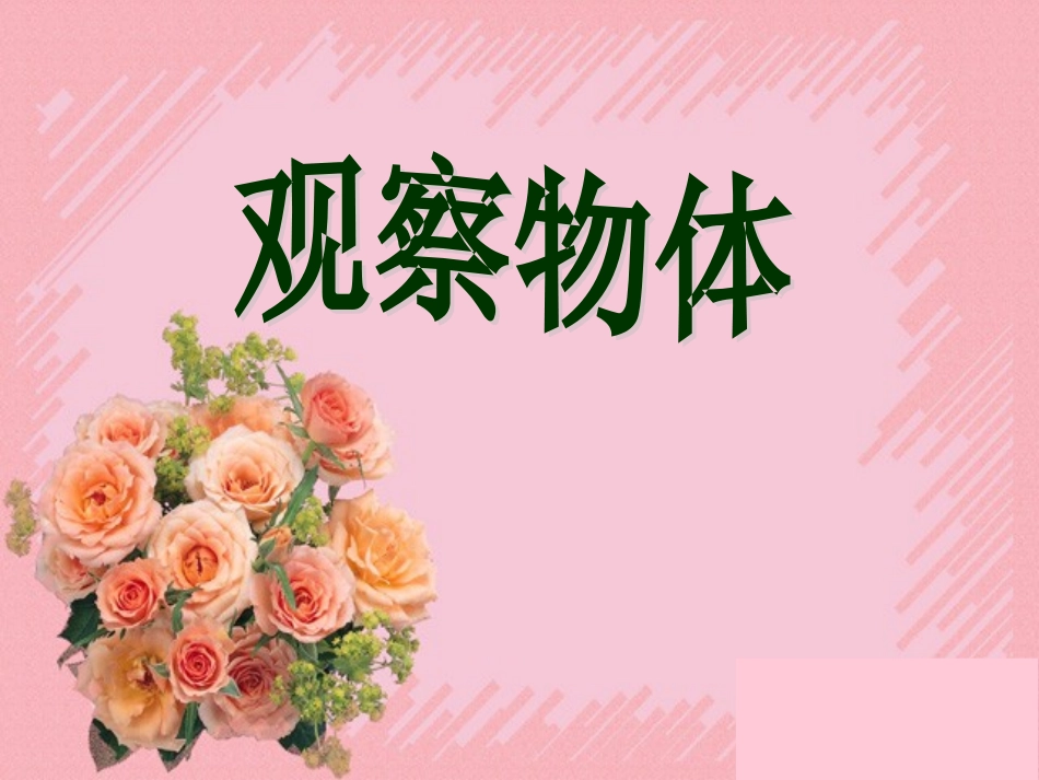 观察物体课件_第1页