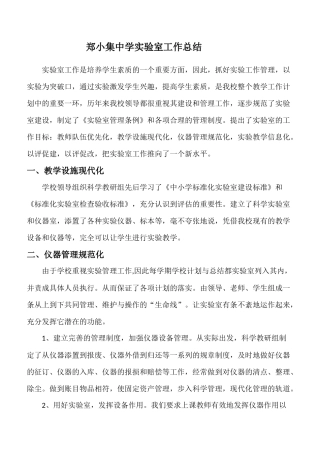 实验室年末总结