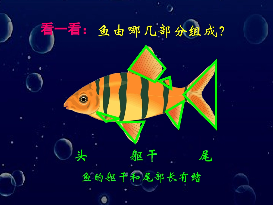 谁画的鱼最大_第2页