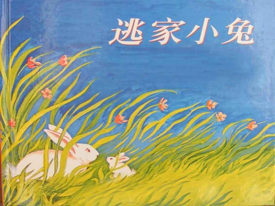 逃家小兔 (2)_第2页