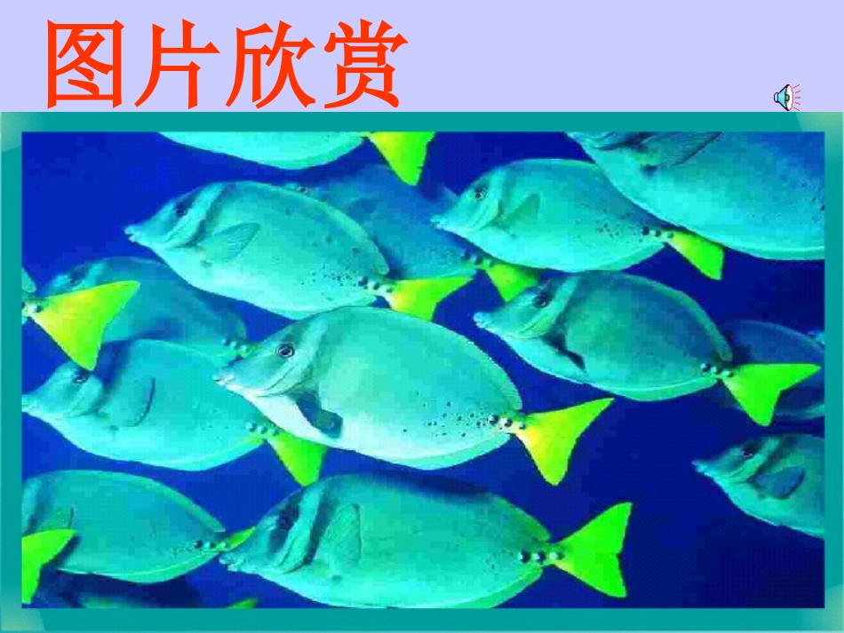 海底世界 (3)_第2页