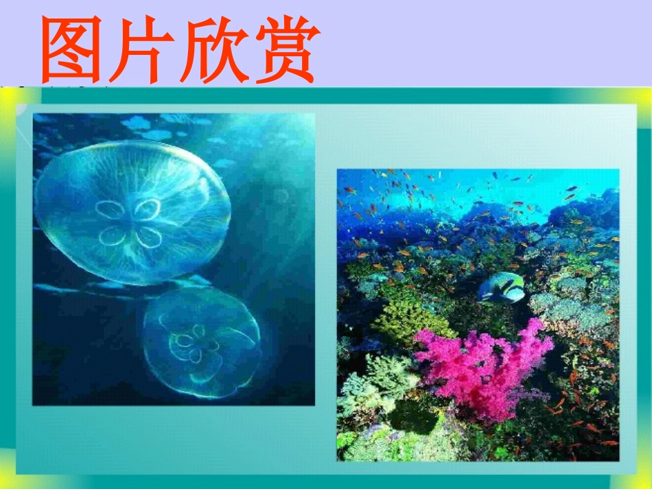 海底世界 (3)_第3页