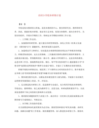 农村小学校本研修计划